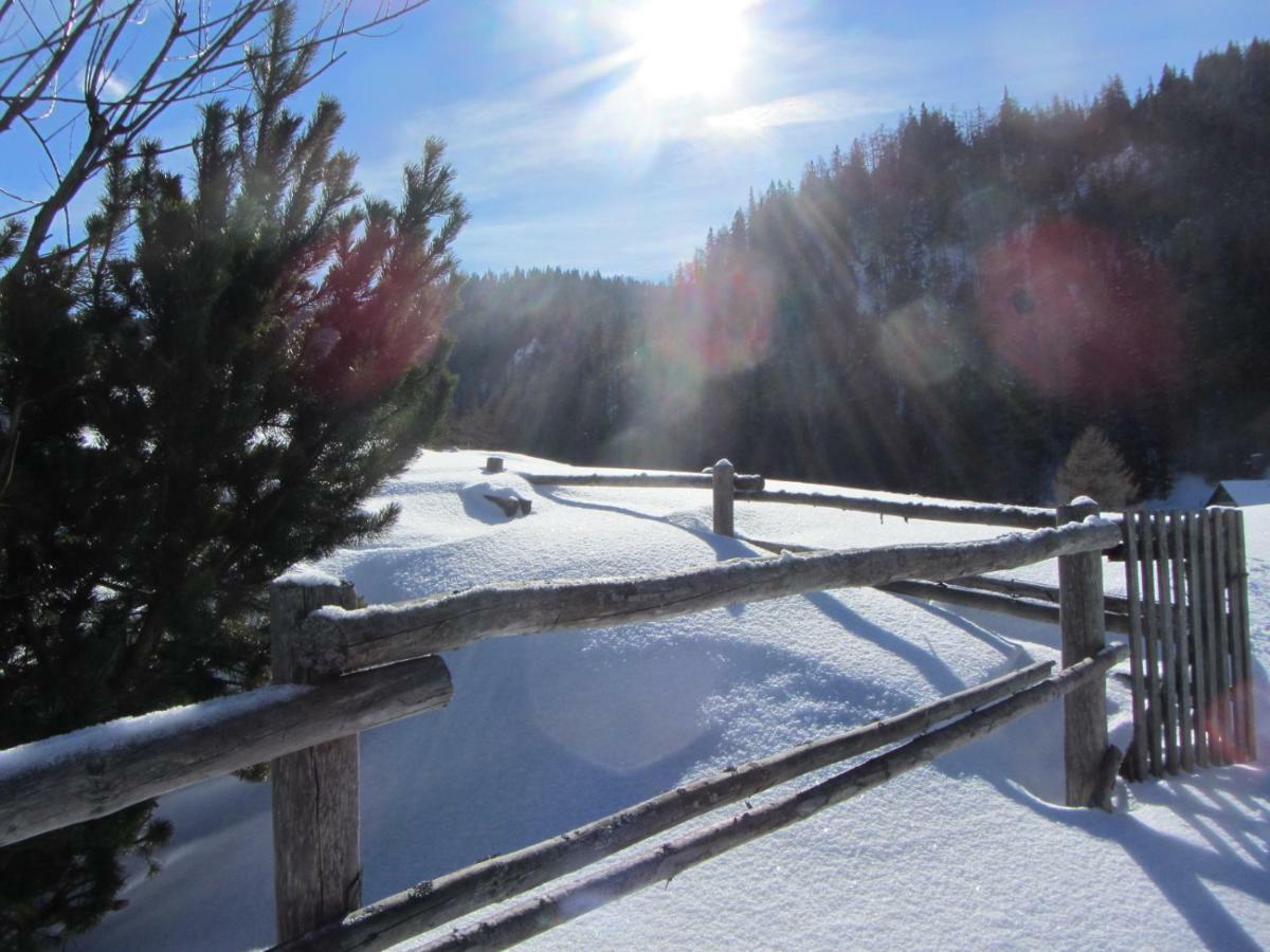 Almgasthaus Seebergalm Turnau Luaran gambar