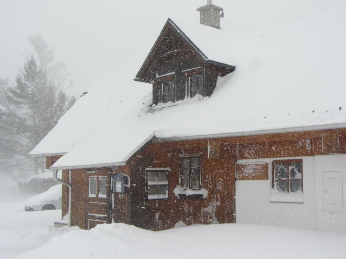 Almgasthaus Seebergalm Turnau Luaran gambar